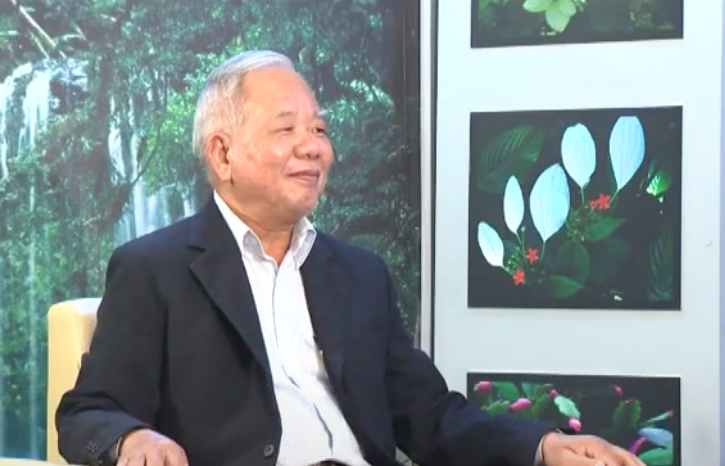 Dược sĩ Tào Văn Chiến nói về ứng dụng cây huyết giác trong chữa vết thương